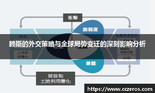 赖斯的外交策略与全球局势变迁的深刻影响分析