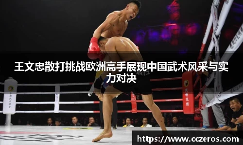 王文忠散打挑战欧洲高手展现中国武术风采与实力对决